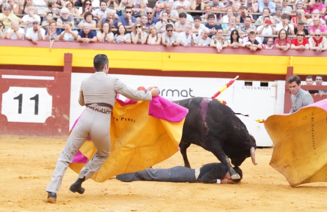 Samuel Navalón sufre una cornada en el cuello en el festival de Algemesí