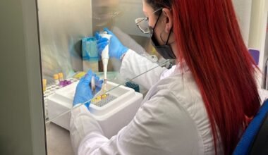 Málaga, a la vanguardia en la generación en el laboratorio de órganos y tumores para probar nuevos fármacos
