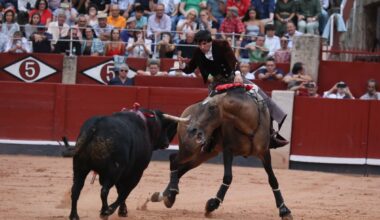 Diego Ventura explica muy clara la suspensión: «Que te maten un caballo no es plato de buen gusto»
