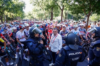 Los manifestantes propalestinos cortan el
