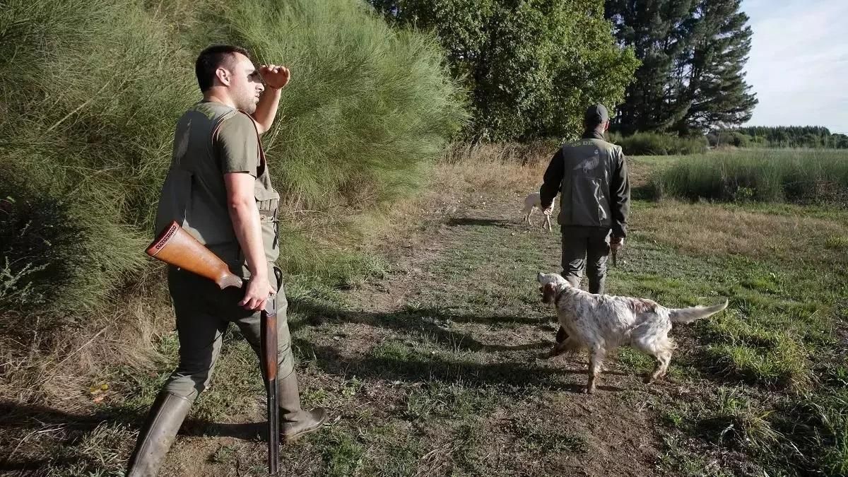 La vacuna anual dejará de ser obligatoria en Extremadura.