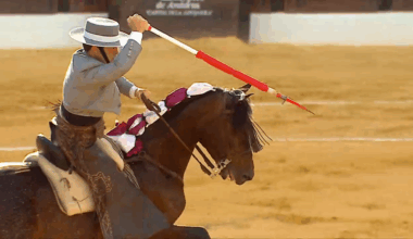 Toros desde Laujar de Andarax - Canal Sur