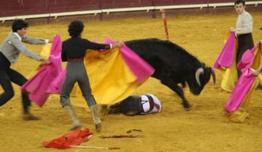 La estrategia cántabra para acercar a la infancia la violencia taurina