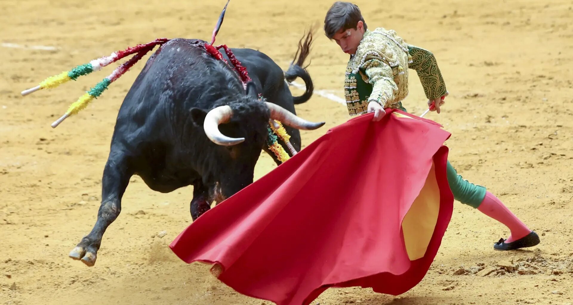 El torero aragonés Aarón Palacio gana el Trofeo Ciudad de Logroño 2025 de la Feria de San Mateo