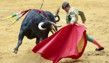 El torero aragonés Aarón Palacio gana el Trofeo Ciudad de Logroño 2025 de la Feria de San Mateo