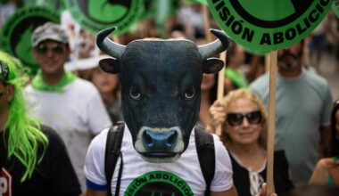 Pacma reúne a más de 10.000 personas en Sol para pedir el fin de la tauromaquia