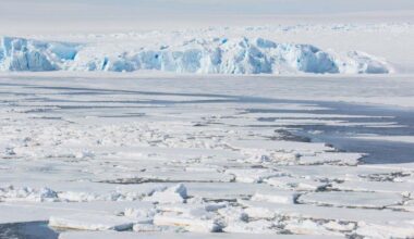 "Un fallo en el ciclo del carbono puede devolvernos a la edad de hielo"