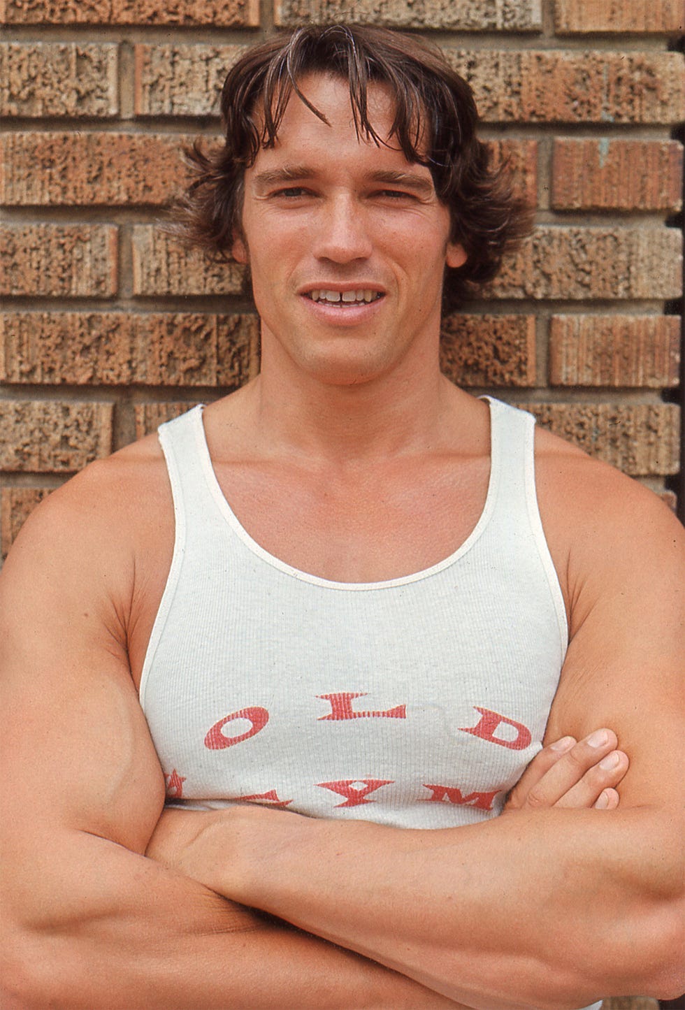 arnold schwarzenegger