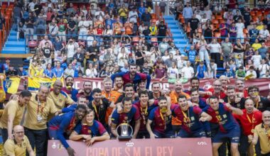 ASOBAL afronta el reto de reflotar el balonmano español