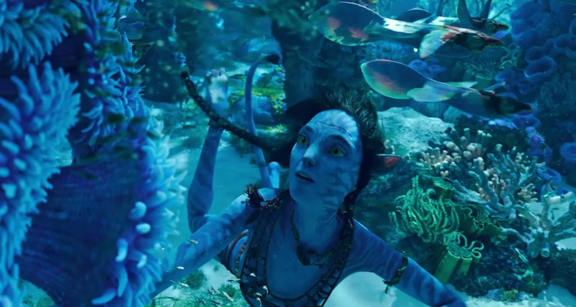 'El sentido del agua' vuelve a los cines dos meses antes del estreno de 'Fuego y ceniza'