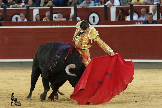 Corrida toros 08-09-25 (5-5) - Molina.