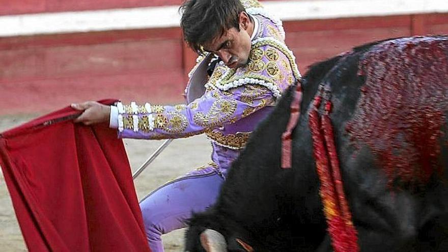 Antolín Jiménez, flexionado, torea por alto a ‘Grabado’, cuarto novillo.