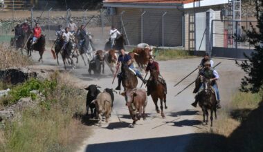 Pasión taurina y diversión en Barruecopardo