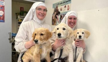 Las exclarisas de Belorado denuncian el intento de envenenar a sus perros en Asturias