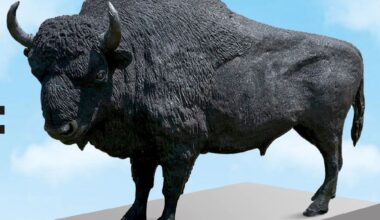 Crean en León una escultura de bisonte europeo de 750 kg con neumáticos reciclados