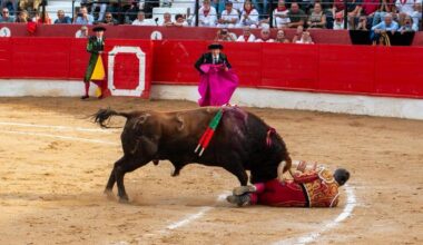 Escribano, herido al ser corneado en la corrida de toros de Corella