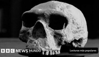 El cráneo de un millón de años que "cambia totalmente" nuestra comprensión de la evolución humana, según los científicos