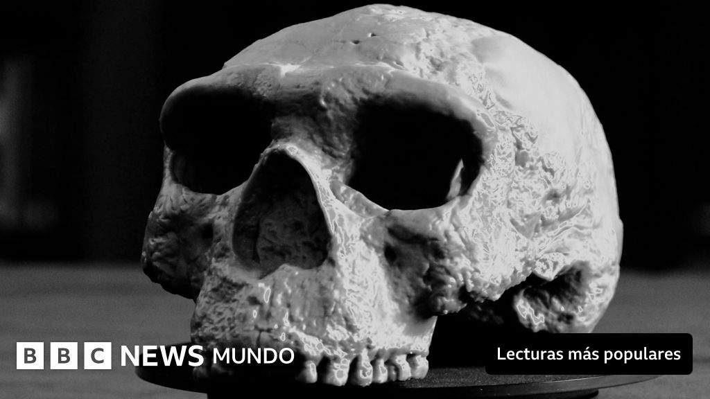 El cráneo de un millón de años que "cambia totalmente" nuestra comprensión de la evolución humana, según los científicos