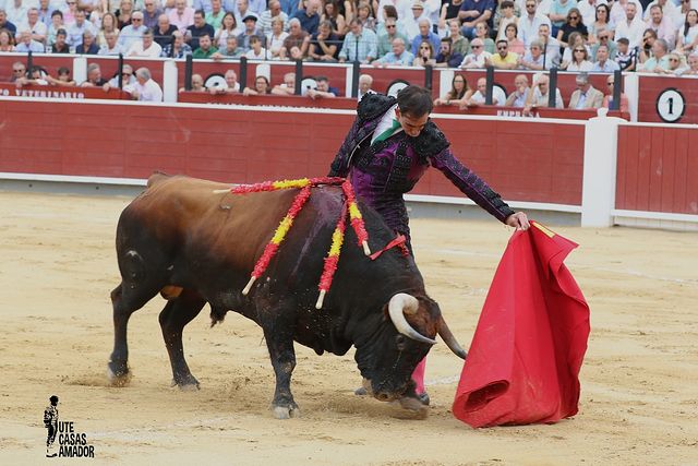 Corrida toros 08-09-25 (18) - Fortes.