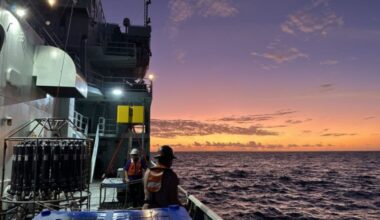 El calentamiento del mar destruye el fitoplancton