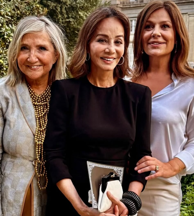 desfile iq collection desfile iq collection