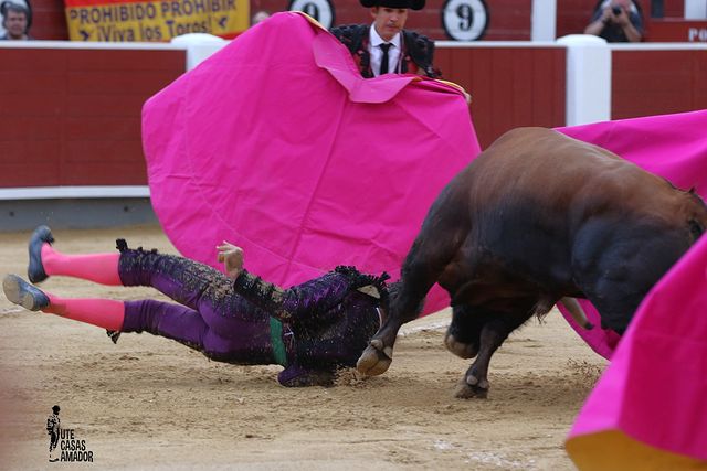 Corrida toros 08-09-25 (25-25) - Fortes.