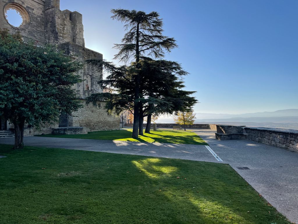Iglesia de San Pedro, Viana