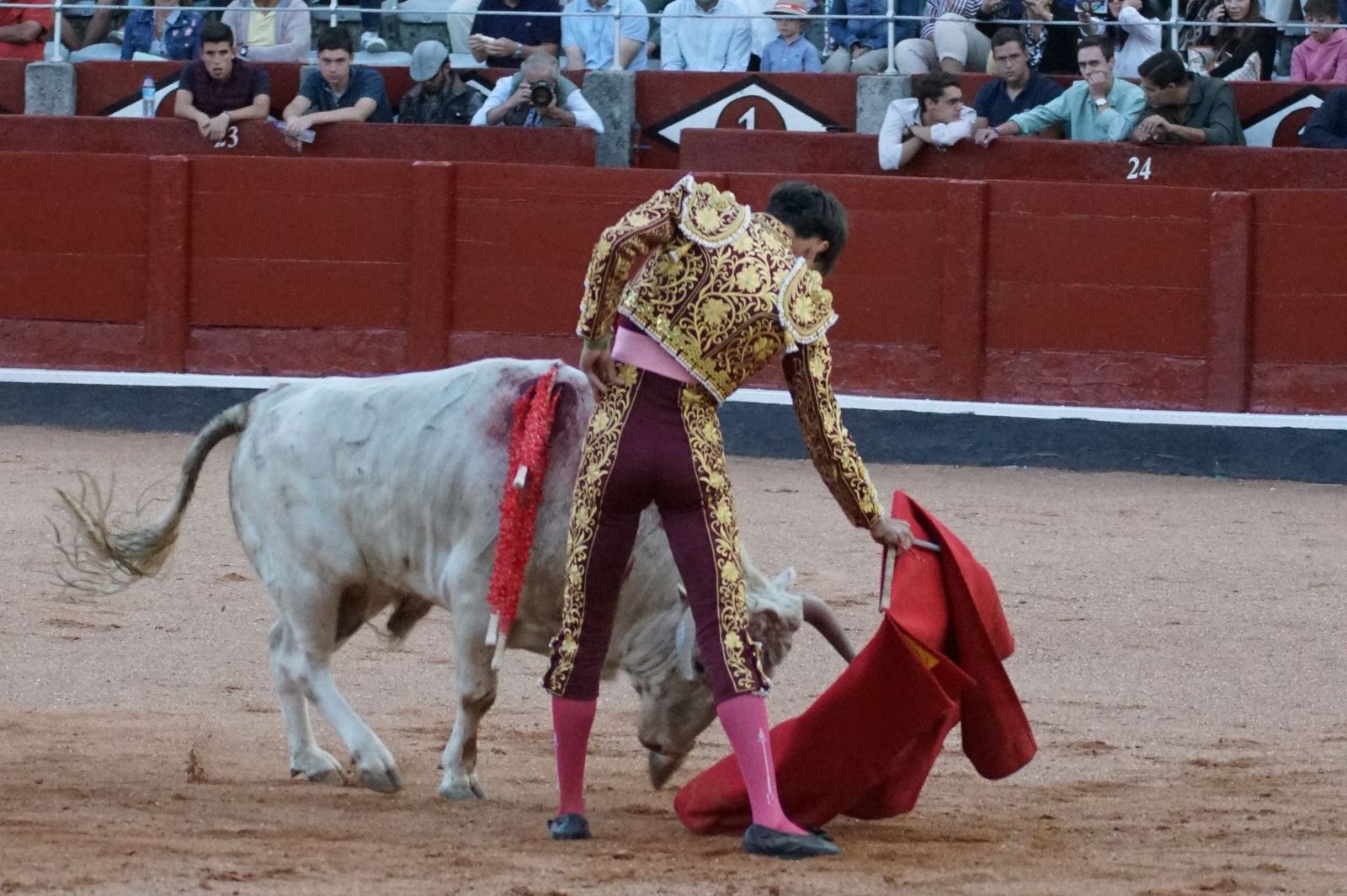 Clase práctica con alumnos de la Escuela de Tauromaquia de Salamanca (Diego Mateos, Noel García y Álvaro Rojo con erales de Esteban Isidro)