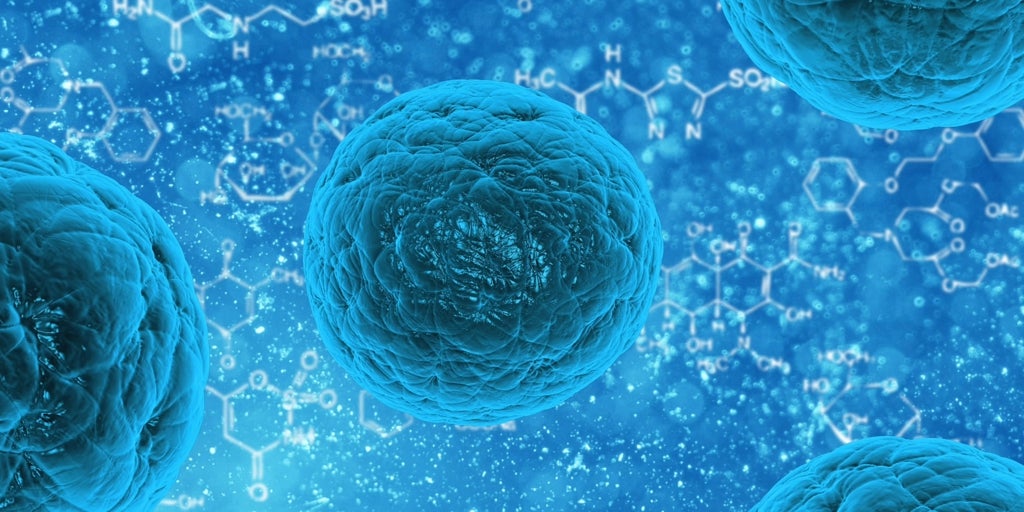 Un trasplante de células madre regenera el cerebro tras un ictus