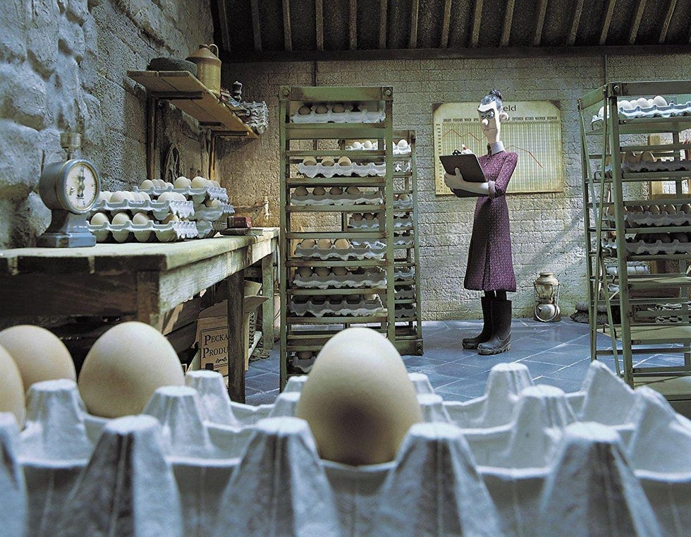 chicken run
