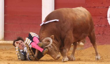 Roca Rey pasa a la enfermería tras ser cogido en Valladolid en su primer toro
