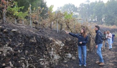 Extinguido el incendio de A Fonsagrada y sin novedades en Pantón (Lugo), que sigue en situación 2