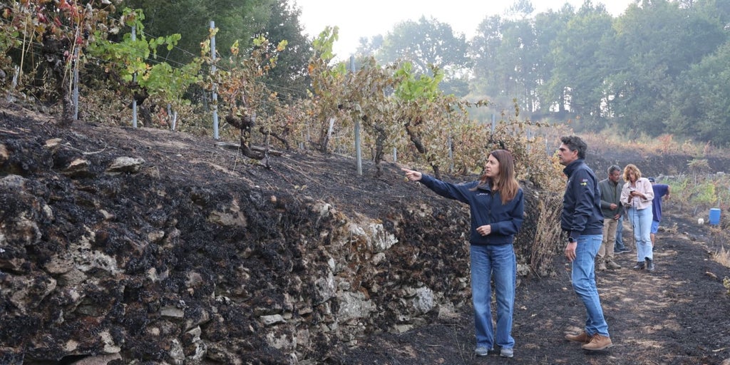 Extinguido el incendio de A Fonsagrada y sin novedades en Pantón (Lugo), que sigue en situación 2