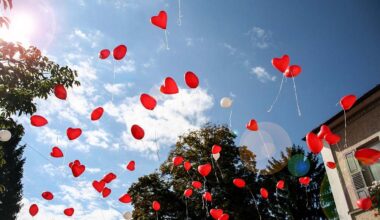 29 de septiembre – Día Mundial del Corazón