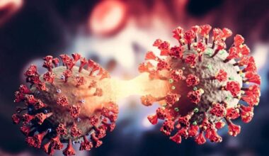 Stratus, la nueva variante del covid con un síntoma fácilmente reconocible