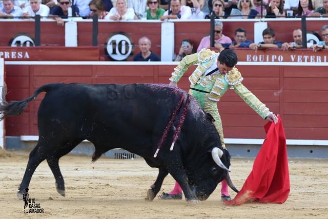 Corrida toros - 12-09-25 - Juan Ortega.