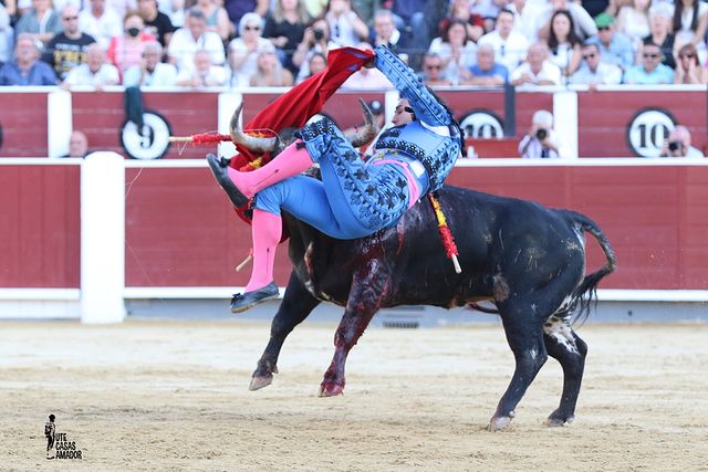 Corrida toros 10-09-25 (15) - Alejandro Quesada.