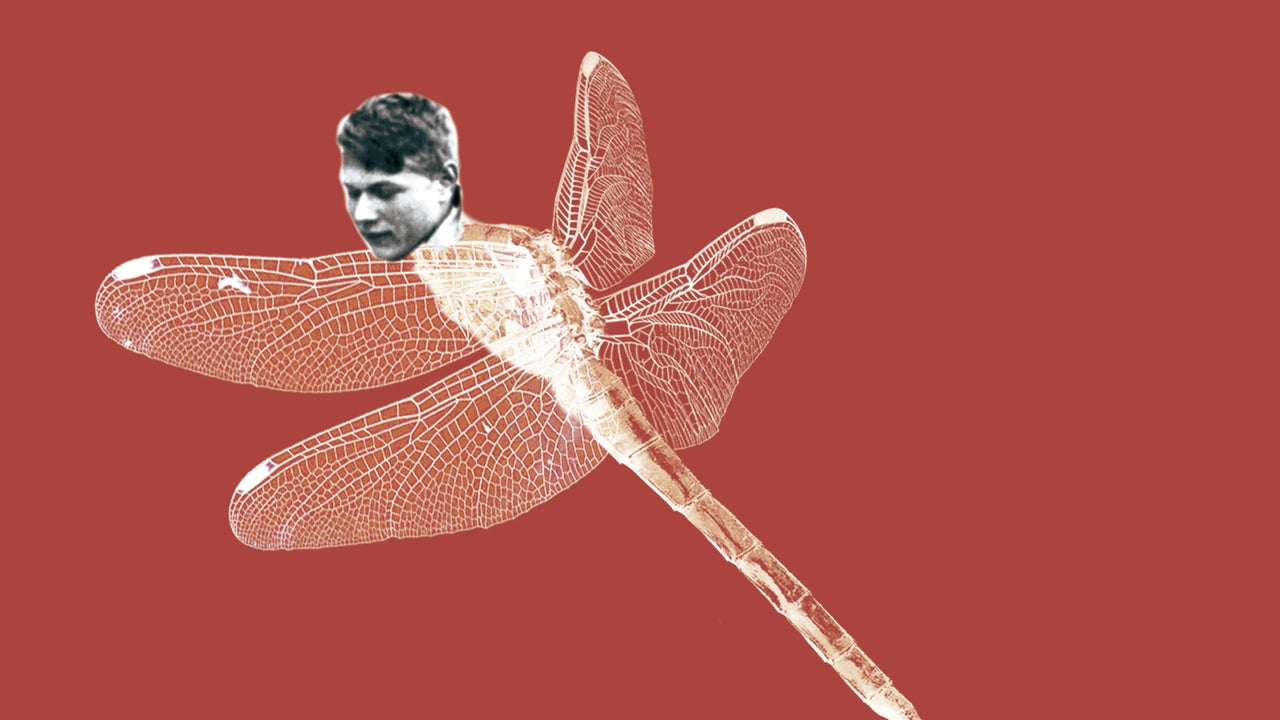 La novela que transforma el deseo de morir en un canto al amor entre hermanos