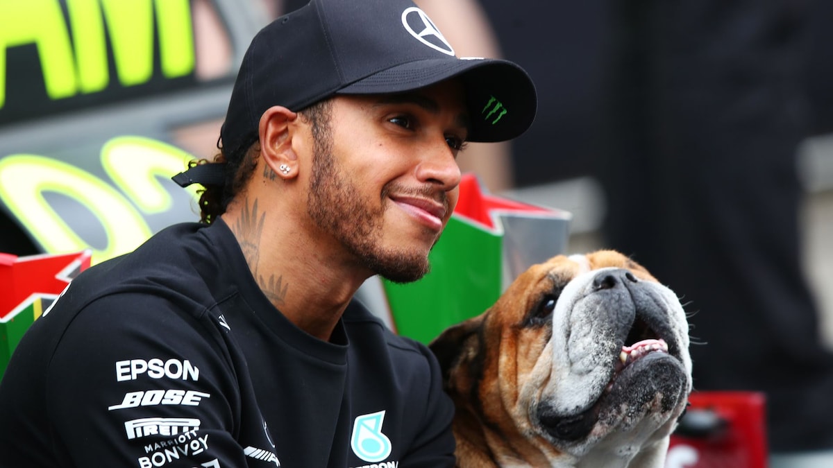 Lewis Hamilton cancela asistencia al Ferrari Fashion Show por su perrito
