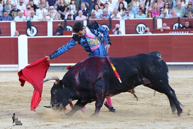Corrida toros 10-09-25 (20) - Alejandro Quesada.
