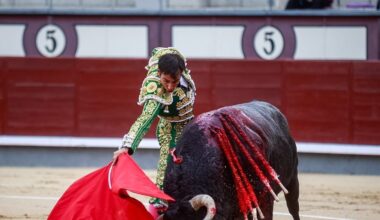 Gómez del Pilar roza la puerta grande con un gran Excitado en el cierre del torismo venteño