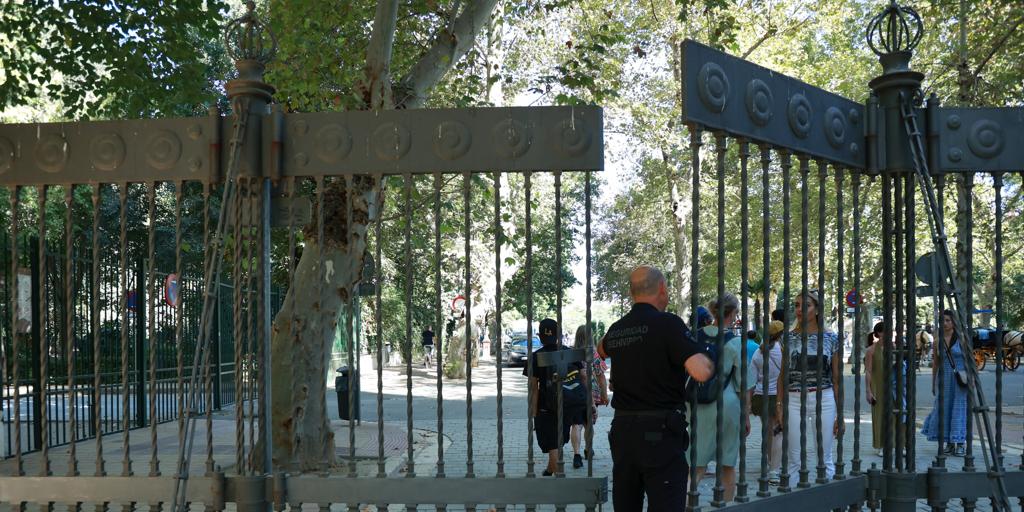 Desalojan a los obreros del Museo Arqueológico por la posible presencia de gripe aviar en el Parque de María Luisa