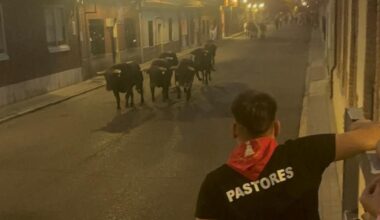 Multitudinario encierro en Laguna de Duero para despedir las fiestas