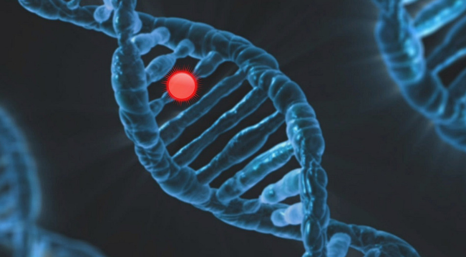 programa-impact-diagnostico-genetico