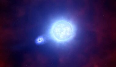 Las estrellas masivas prefieren vivir en pareja incluso en galaxias con baja metalicidad
