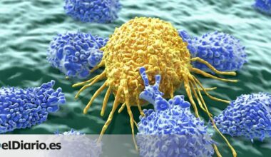 Siete virus que pueden causar cáncer