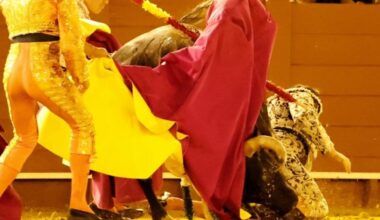 Sánchez Araujo, cornada de 10 cm en muslo izquierdo y traumatismo costal