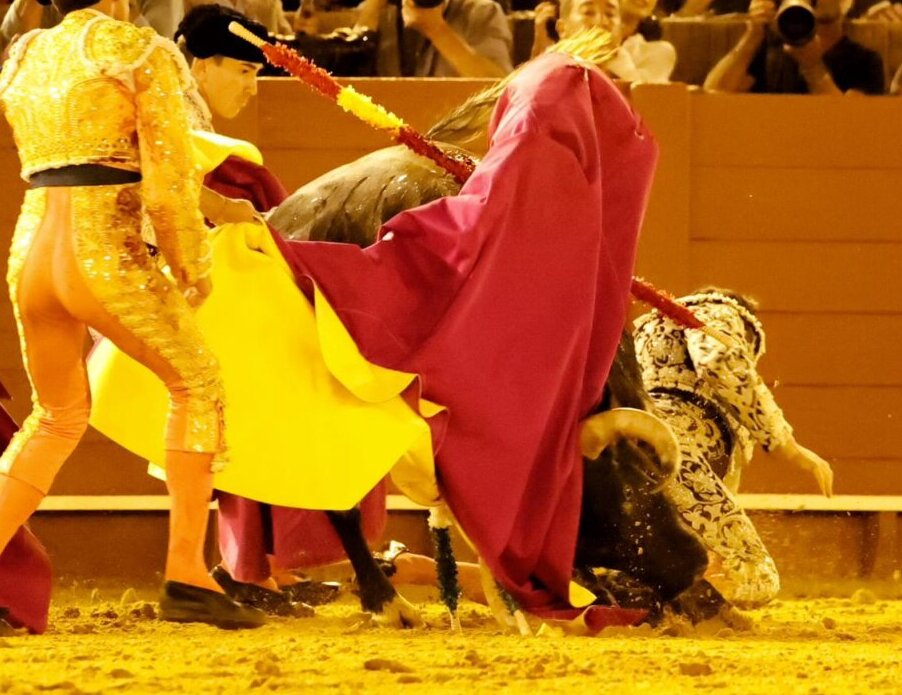 Sánchez Araujo, cornada de 10 cm en muslo izquierdo y traumatismo costal