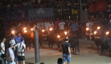 El encierro de ‘bous embolats’ llena de emoción la Misericòrdia de Burriana