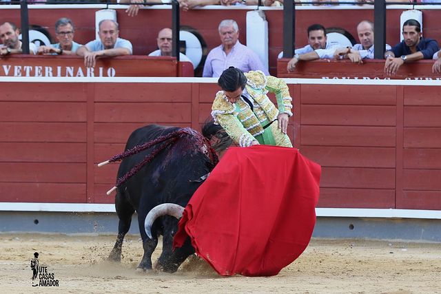 Corrida toros - 12-09-25 - Juan Ortega.